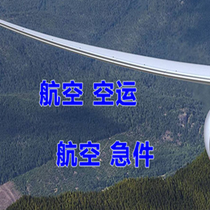 宜宾五粮液空运快递-选东方航空和上海航空