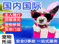 宜宾五粮液空运国际宠物托运 【国